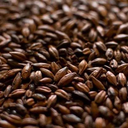10lb-dingemans-belgian-chocolate-malt-300-375l-uncrushed-brewing-grain-mdin7004 10LB DINGEMANS BELGIAN CHOCOLATE MALT 300-375L – Uncrushed Brewing Grain MDIN7004