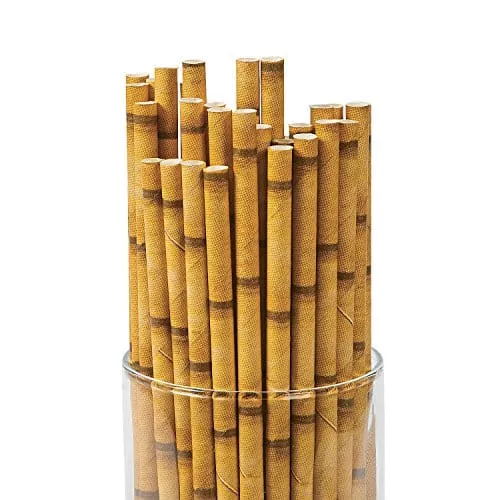 bamboo-paper-straws-24pc-party-supplies-24-pieces BAMBOO PAPER STRAWS (24PC) - Party Supplies - 24 Pieces