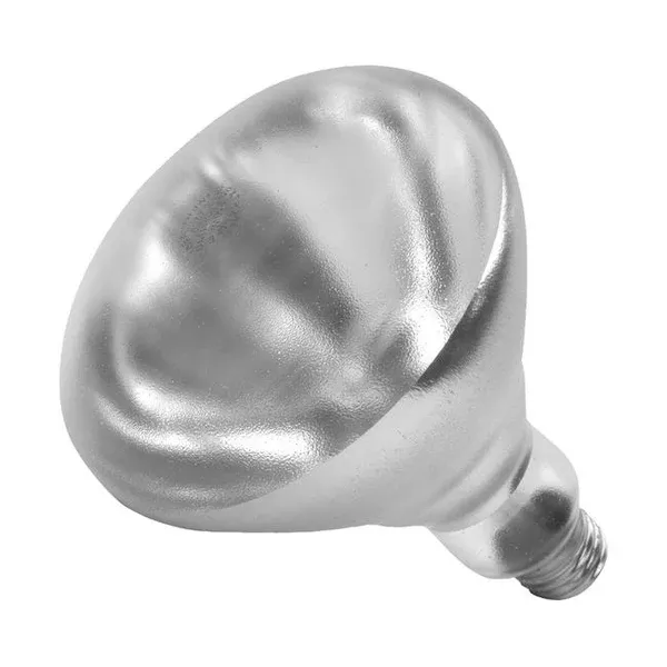heat-lamp-bulb-clear-each Heat Lamp Bulb Clear each